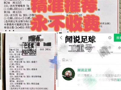 杏彩体育-乌迪内斯再遭逆袭，急需改进阵容